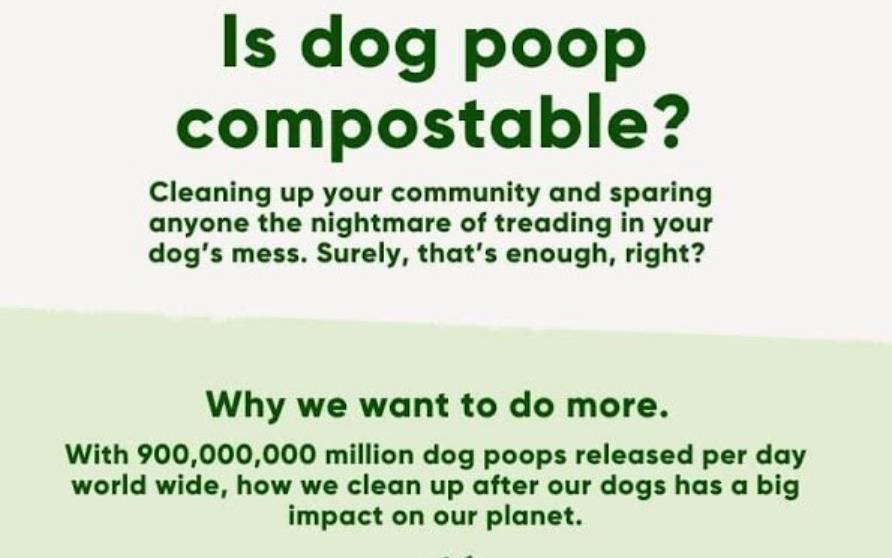 Sac à déjections canines compostable